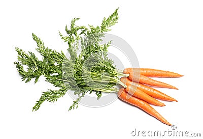 Bundle of ripe carrots isolated on white Stock Photo