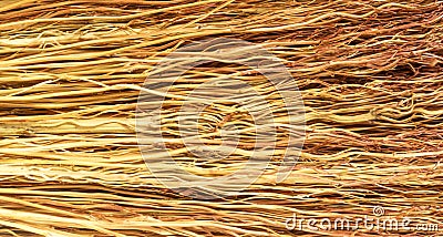 Bundle of thin withered twigs background, bunch of yellow branches texture, close up striped of broom, yellow brushwood, old dry Stock Photo