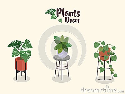 bundle of three home plants in ceramic pots decor and lettering Vector Illustration