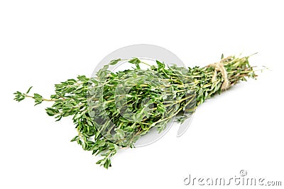 Bundle of thyme Stock Photo