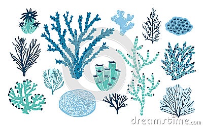 Bundle of various corals and seaweed or algae isolated on white background. Set of blue and green underwater species Vector Illustration