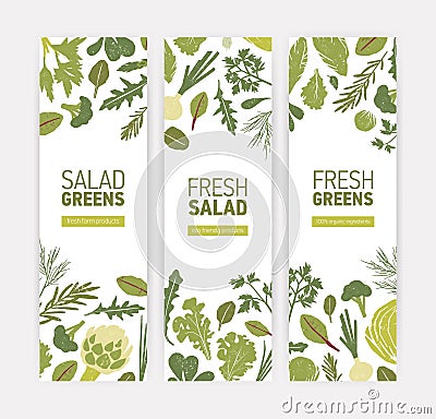 Bundle of vertical web banner templates with green vegetables, fresh salad leaves and spice herbs on white background Vector Illustration