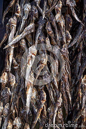 Bundles of dried salted goby or bullhead fish Stock Photo