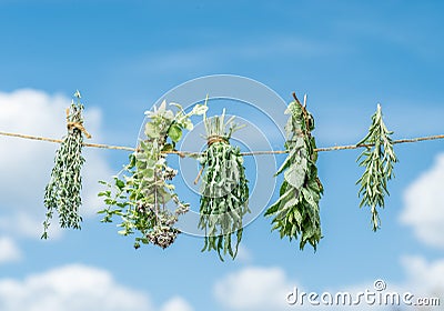 Bundles of flavoured herbs drying on the open air. Sky background. Stock Photo