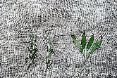 Bundles of fresh herbs spices, on gray linen background Stock Photo