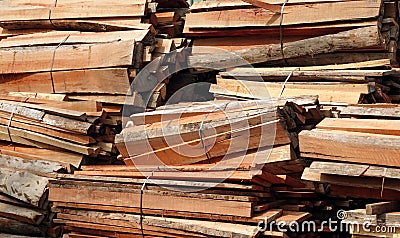 Bundles of Hardwood Lumber Stock Photo