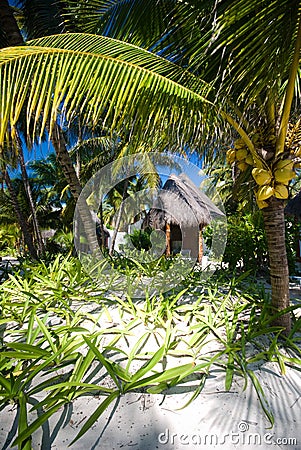 Bungalow at a tropical tourist resort Stock Photo
