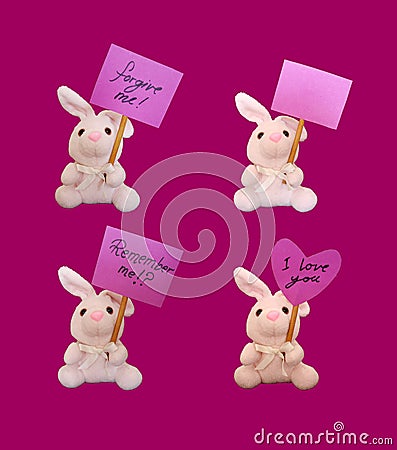 bunnies with tags Stock Photo