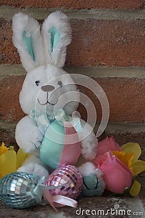 Bunny on Brick Stock Photo