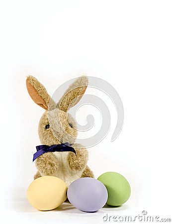 Bunny with Colored Eggs - vertical Stock Photo