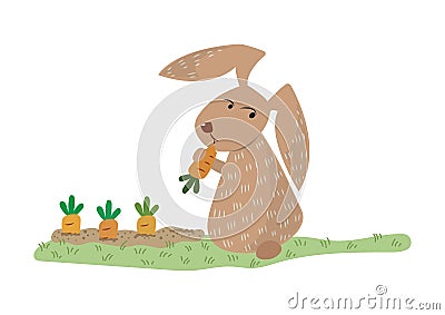 Bunny Eating Carrot Vector Illustration