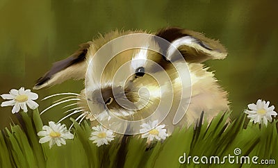 Bunny in grass Stock Photo