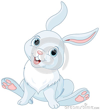 Bunny Vector Illustration