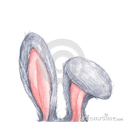 Bunny rabbit ears. Easter concept. Watercolor illustration Cartoon Illustration