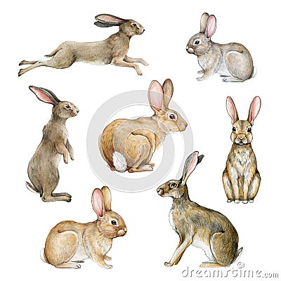 Bunny and rabbit watercolor set. Hand drawn bunnies and rabbits in different poses. Jump, sit, stand hare illustration Cartoon Illustration