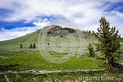 Bunsen Peak trail landscape, Yellowstone National Park, Wyoming Stock Photo