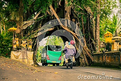 Bunut Bolong: Ficus Tree Tunnel At West Off-Beaten Track Editorial Stock Photo