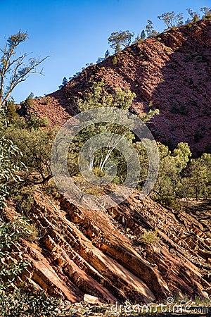 Bunyeroo Gorge in the Flinders Ranges, South Australia Stock Photo