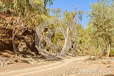 In the Bunyeroo Gorge - Wilpena Pound Stock Photo