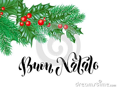 Buon Natale Italian Merry Christmas holiday hand drawn calligraphy text for greeting card of wreath decoration and Christmas vecto Vector Illustration