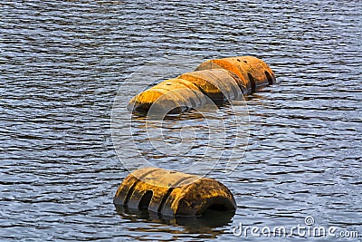 Buoy or plastic floats on the water surface. Stock Photo