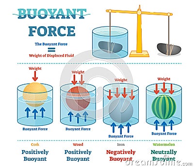 Buoyant force, illustrative educational physics diagram. Vector Illustration