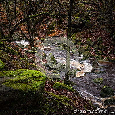 Burbrage Brook in the Padley Gorge Stock Photo