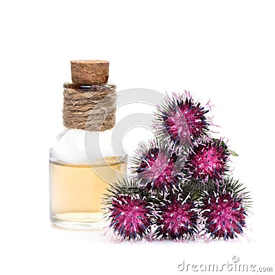 Burdock oil and burdock flowers Stock Photo