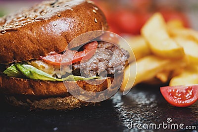 Burger with fries Stock Photo