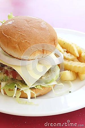 Burger and Fries on a Plate Stock Photo