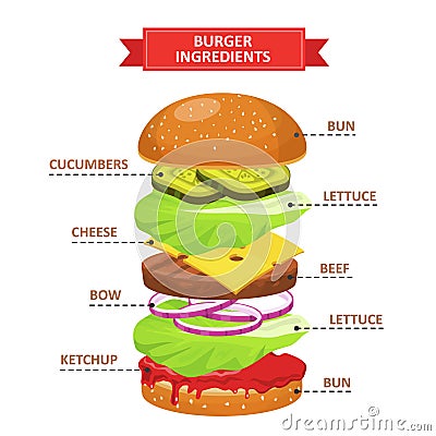 Burger ingredients set Vector Illustration