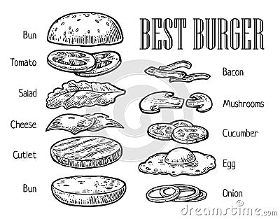 Burger ingredients. Vector vintage engraving illustration for poster, menu, web, banner, info graphic Vector Illustration