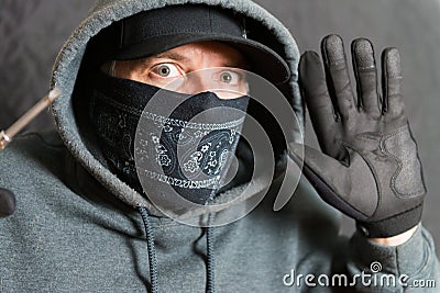 Burglar Busted Stock Photo