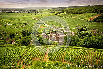 Hills covered with vineyards in the wine region of Burgundy, France Stock Photo