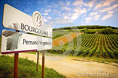 Burgundy, Pernand-Vergelesses wine is produced in the commune of Pernand-Vergelesses in CÃ´te de Beaune.France Editorial Stock Photo