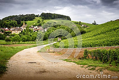 Burgundy. Road in the vineyards leading to the village of Pernand-Vergelesses in CÃ´te de Beaune. France Stock Photo