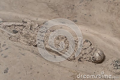 burial skeleton human bones from ancient grave Stock Photo