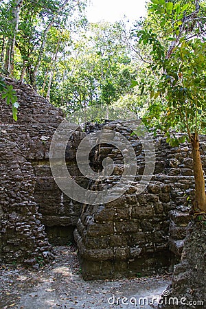 Archaeological Site: El Mirador, the cradle of Mayan civilization and the oldest mayan city in history Stock Photo