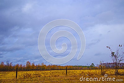 Farmland in the country with beautiful Fall vivid colors and fence Stock Photo