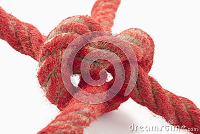 Burl in a red rope Stock Photo