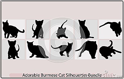 burmese cat cute pet glyph icon vector. burmese cat cute pet sign,Burmese Cat, Cat breed face cartoon flat icon design Vector Illustration