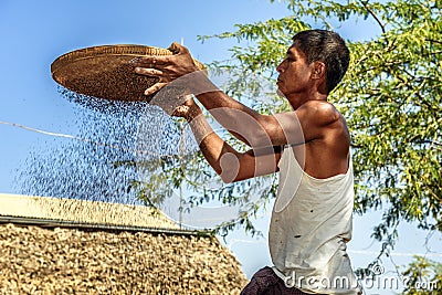 Burmese farmer sifts grains Editorial Stock Photo