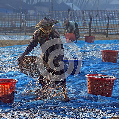 Fishing village on Ngapali Beach - Myanmar (Burma) Editorial Stock Photo