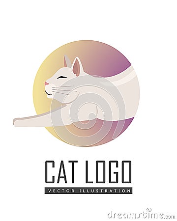 Burmilla Shorthair Cat Flat Vector Illustration Vector Illustration