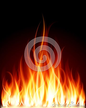 Burn flame fire Vector Illustration