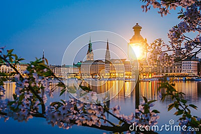 Burn lantern in park with branches of cherry blossom flowers on beautiful Alster river and Hamburg town hall - Rathaus Stock Photo