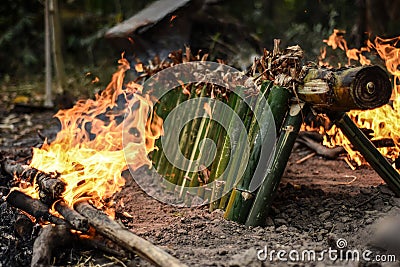 Burn Rice in Bamboo Stock Photo