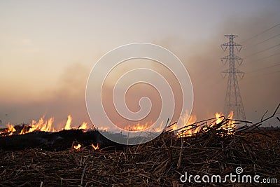 Burn rice Stock Photo