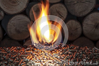 Burn wood pellet and trunks Stock Photo