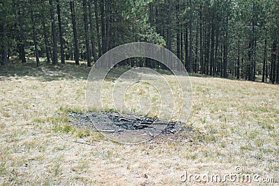 Burned fire place in forest Stock Photo